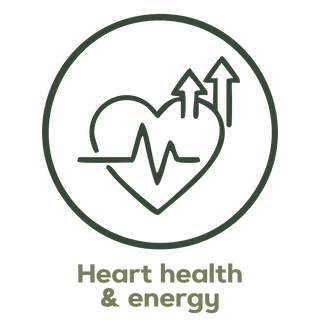 Salud & EnergíaNatural